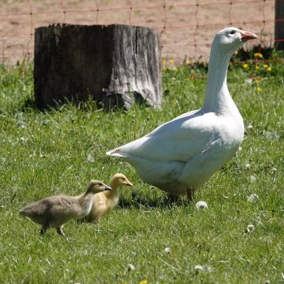 Familiensamstag (1).jpg