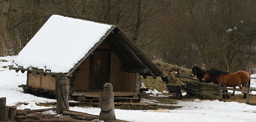 Pfostenhaus